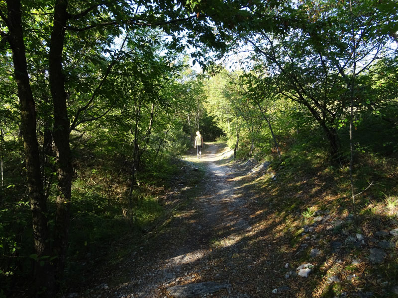 Giro del Monteghello -  sentiero F1 (Rovereto)